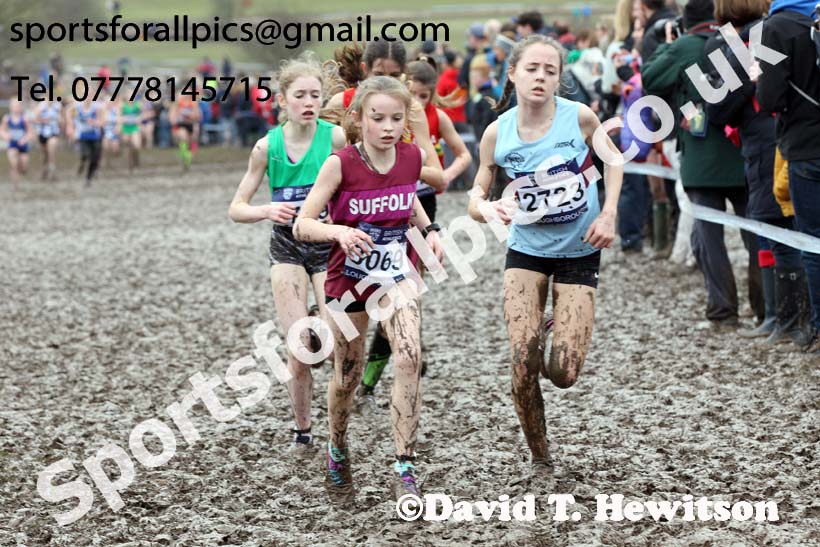 Girls under-13s 2018 British Inter Counties Cross Country Champs., Prestwold Hall, Loughborough. Photo: David T. Hewitson/Sports for All Pics